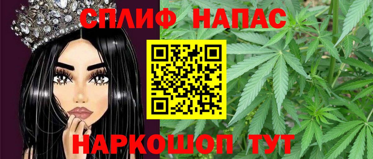 Канабис планчик Бузулук